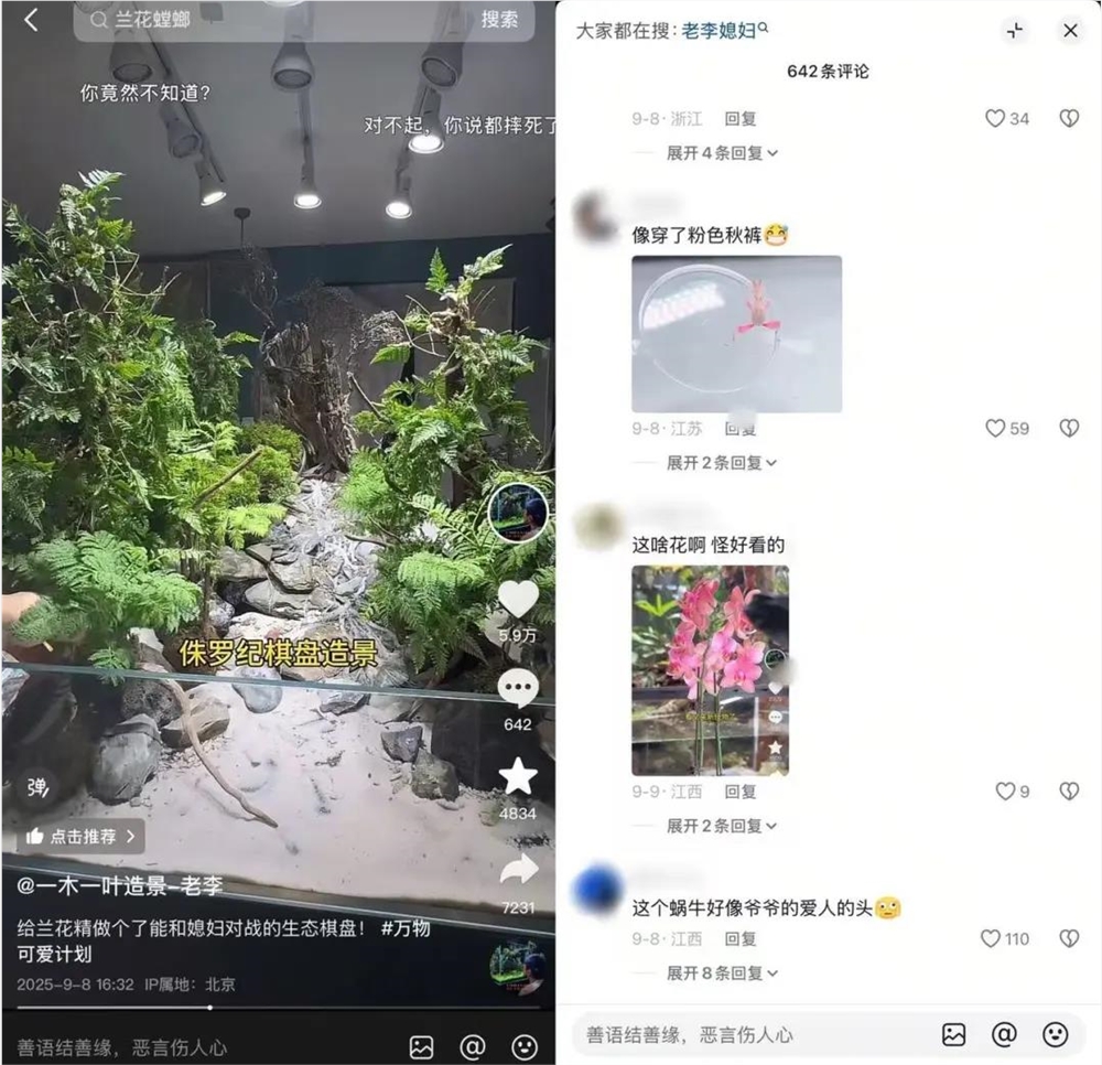 异宠爆火！仓鼠守宫蜘蛛走红年轻人为何爱养另类宠物插图5