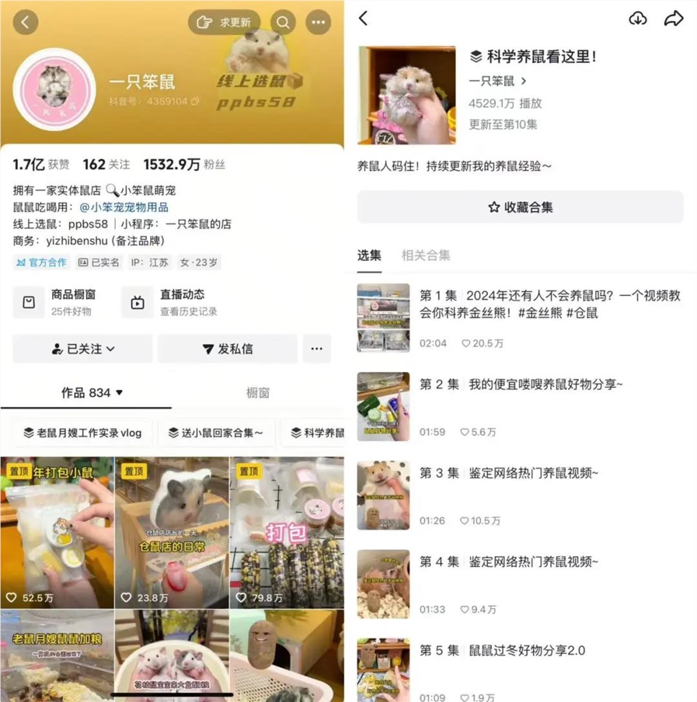 异宠爆火！仓鼠守宫蜘蛛走红年轻人为何爱养另类宠物插图