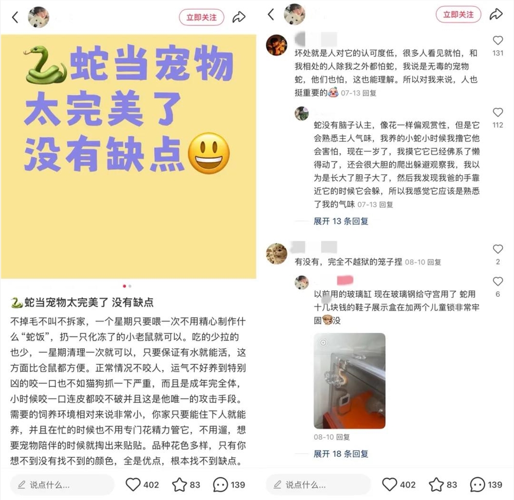 异宠爆火！仓鼠守宫蜘蛛走红年轻人为何爱养另类宠物插图3