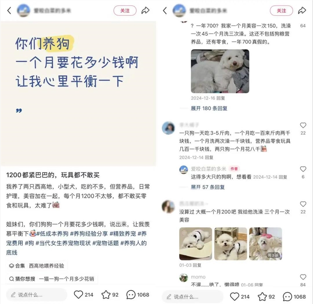 异宠爆火！仓鼠守宫蜘蛛走红年轻人为何爱养另类宠物插图4