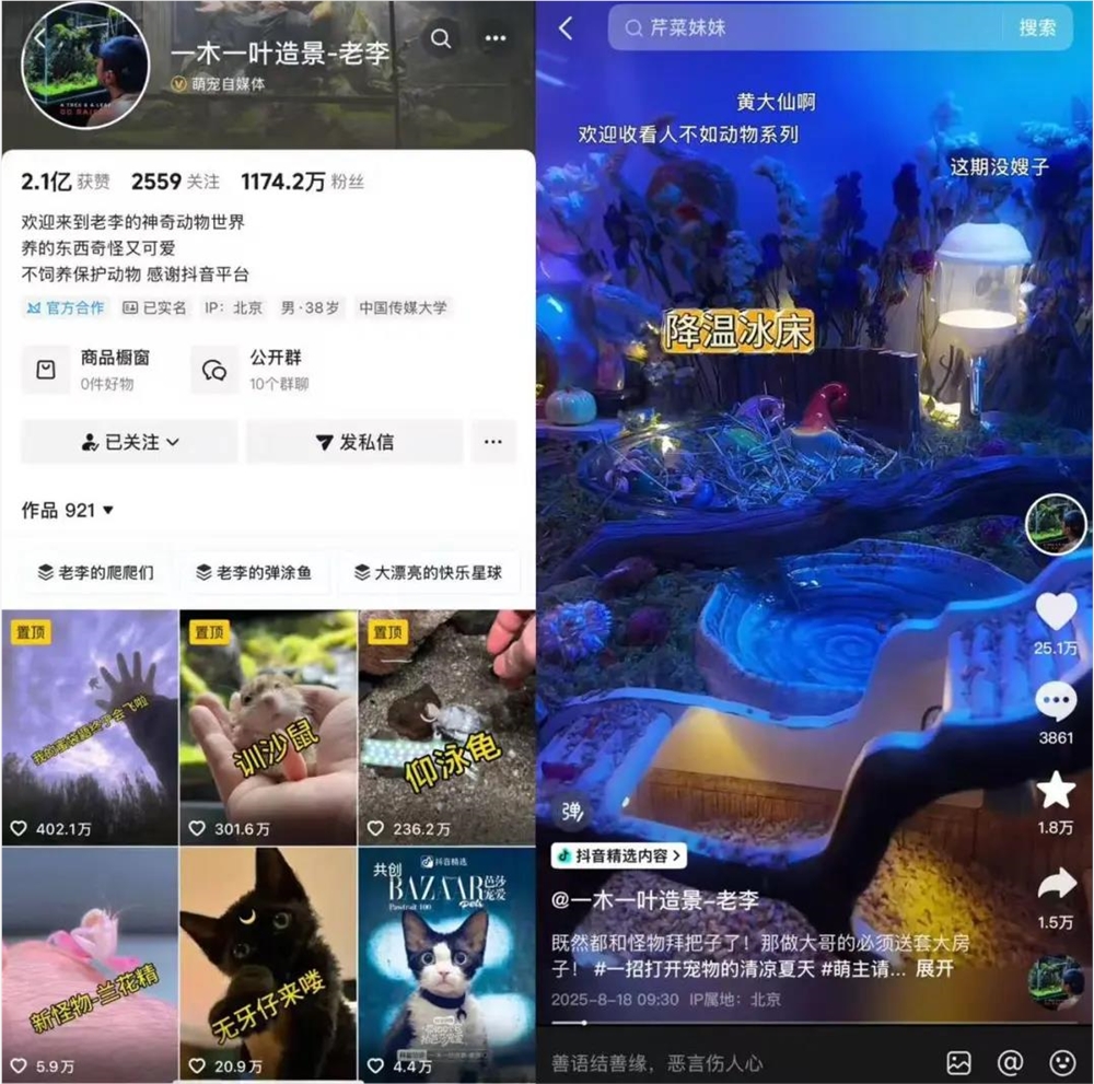 异宠爆火！仓鼠守宫蜘蛛走红年轻人为何爱养另类宠物插图2